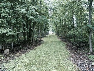 Property photo 6 - LAND AUCTION, 55+/- Acres offered in 2 tracts